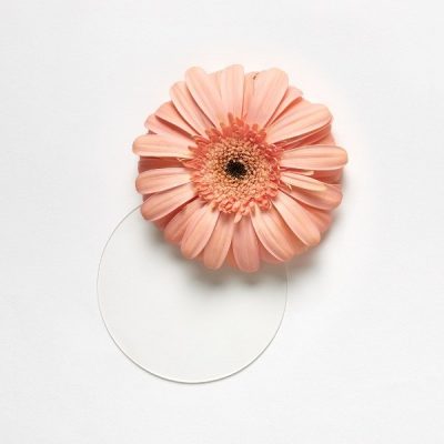 Ингредиенты