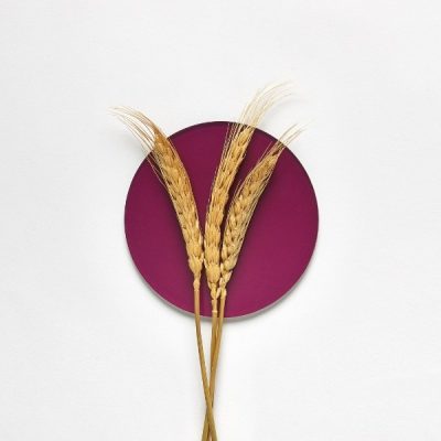 Ингредиенты