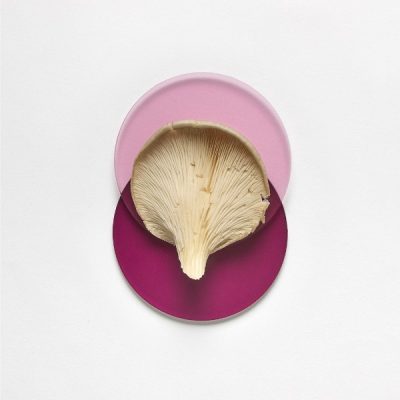 Ингредиенты